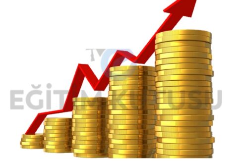 Finansal_yonetim