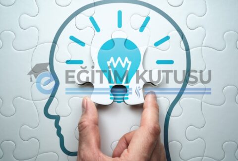 bilgini_gucu_ana