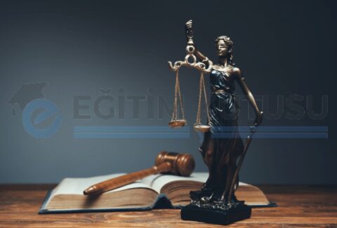 ticaret-hukuku-dıs