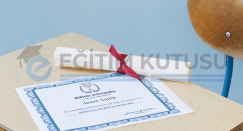 universite-egitim-programlari