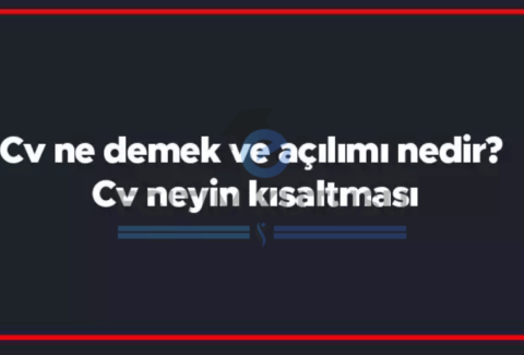 cv_ne_demek