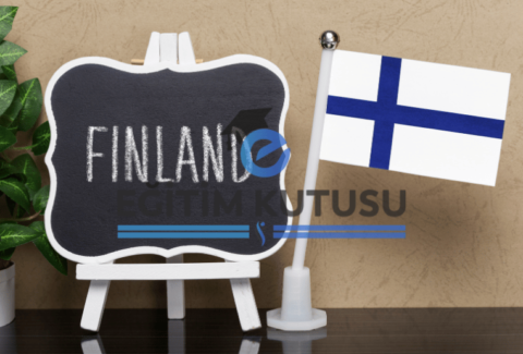 finlandiya_icerik (1)