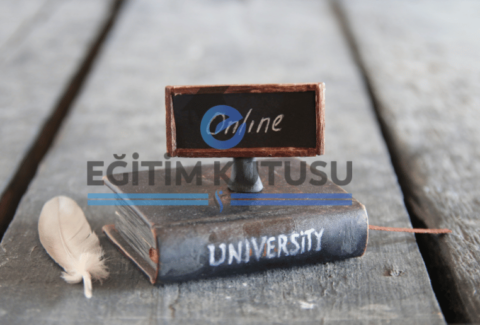uzaktan_uni_kapak2